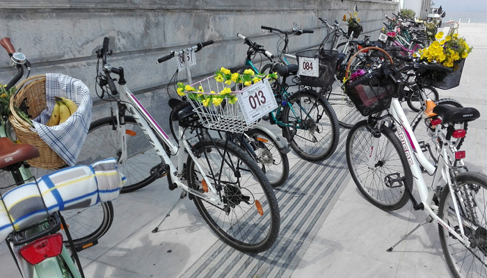 Tweed Run Bicycles